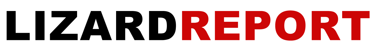 Lizard Report Text Logo